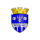 Logo klubu Edineţ
