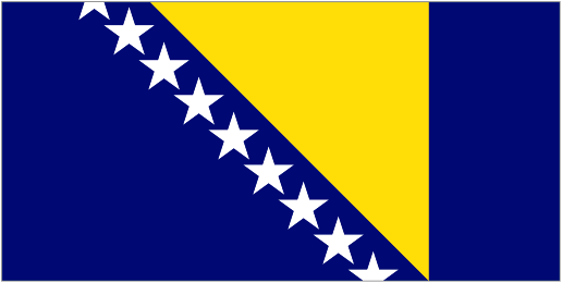 Logo klubu Bośnia i Hercegowina