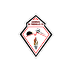 Logo klubu Mineros de Fresnillo
