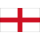Logo klubu Anglia U17