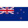 Logo klubu Nowa Zelandia U17