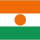Logo klubu Niger