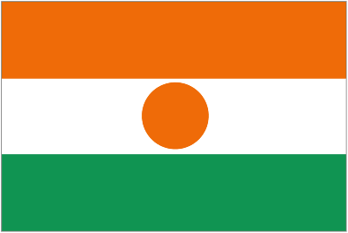 Logo klubu Niger