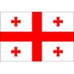 Logo klubu Gruzja U21