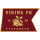 Logo klubu Viking II
