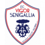 Logo klubu Vigor Senigallia