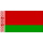 Logo klubu Belarus U19