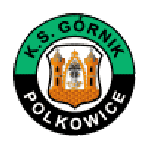 Logo klubu Górnik Polkowice
