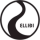 Logo klubu Ellidi