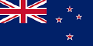 Logo klubu New Zealand W
