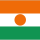 Logo klubu Niger W