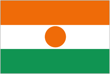 Logo klubu Niger W