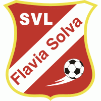 Logo klubu Flavia Solva