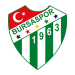 Logo klubu Bursaspor