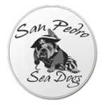 Logo klubu San Pedro