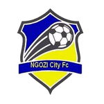 Logo klubu Ngozi City