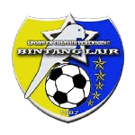 Logo klubu Bintang Lair