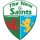 Logo klubu The New Saints