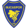 Logo klubu Bucaspor