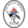 Logo klubu Gaz Metan Medias