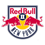 Logo klubu New York Red Bulls III