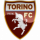 Logo klubu Torino FC U19