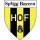 Logo klubu Bayern Hof