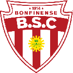 Logo klubu Botafogo BA