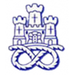 Logo klubu Newcastle Town