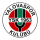 Logo klubu Yalovaspor