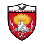 Logo klubu Karlıova Yıldırım