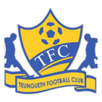 Logo klubu Teungueth