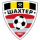 Logo klubu Shakhtyor Petrikov