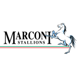 Logo klubu Marconi Stallions