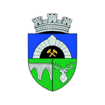 Logo klubu Anenii Noi