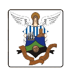 Logo klubu Barquereño