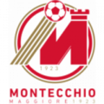 Logo klubu Montecchio Maggiore