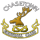 Logo klubu Chasetown