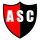 Logo klubu Andino