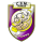 Logo klubu Roman