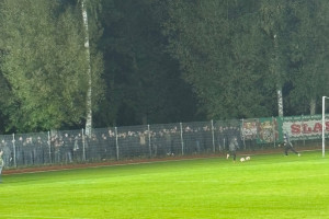 Kibice Śląska Wrocław nie weszli na stadion. Oto powód [FOTO]