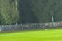 Kibice Śląska Wrocław nie weszli na stadion. Oto powód [FOTO]