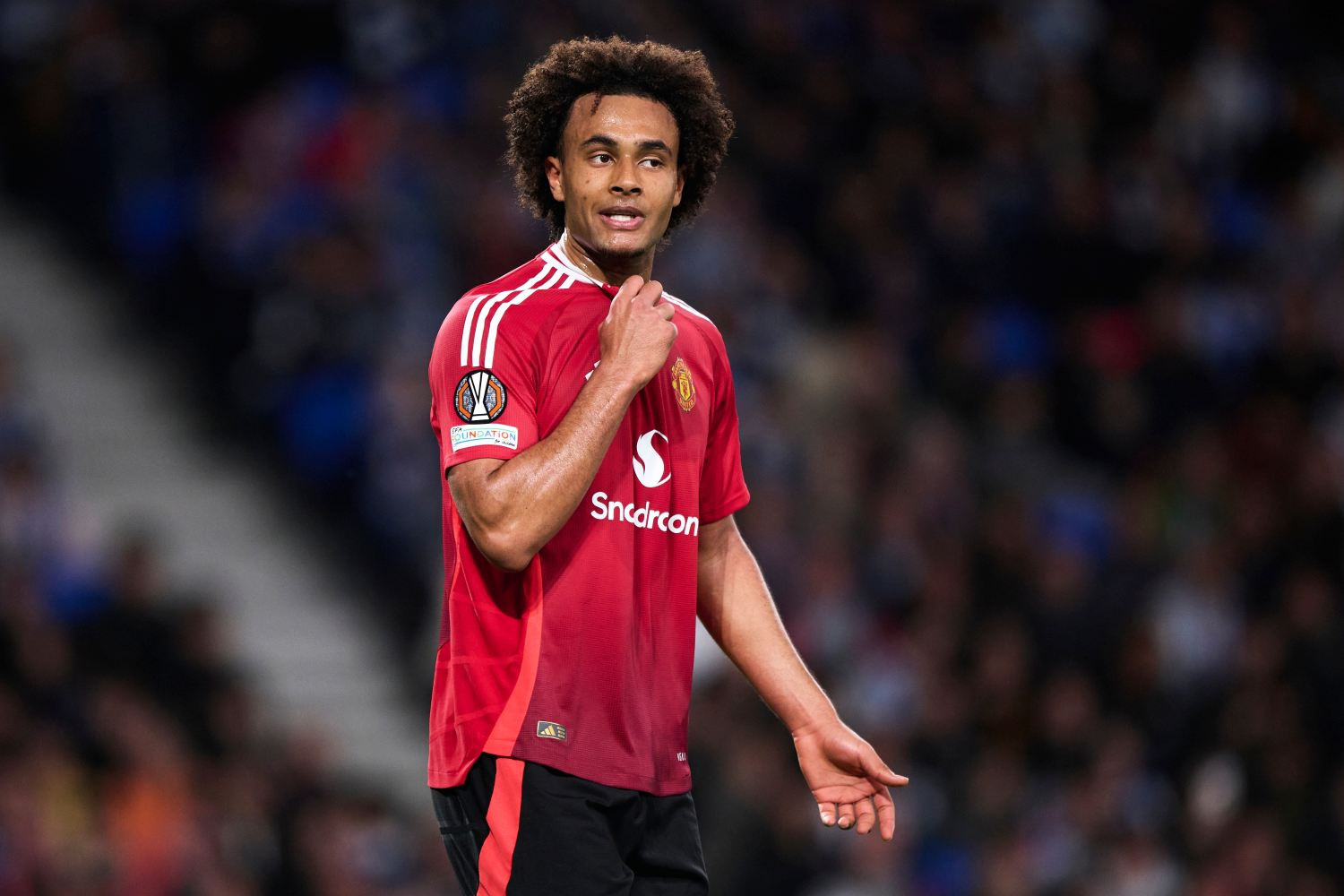 Manchester United ustalił warunki odejścia Joshuy Zirkzee'ego. Tyle będzie trzeba zapłacić za wykup