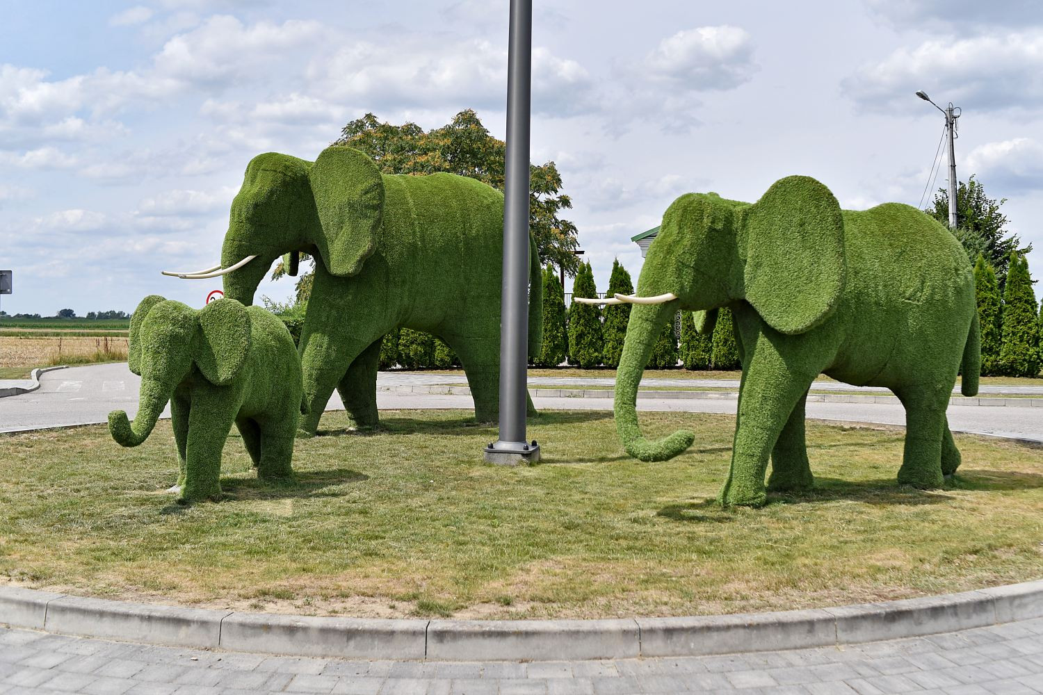 Tyle Bruk-Bet Termalica Nieciecza jest gotowa zaoferować nowym piłkarzom
