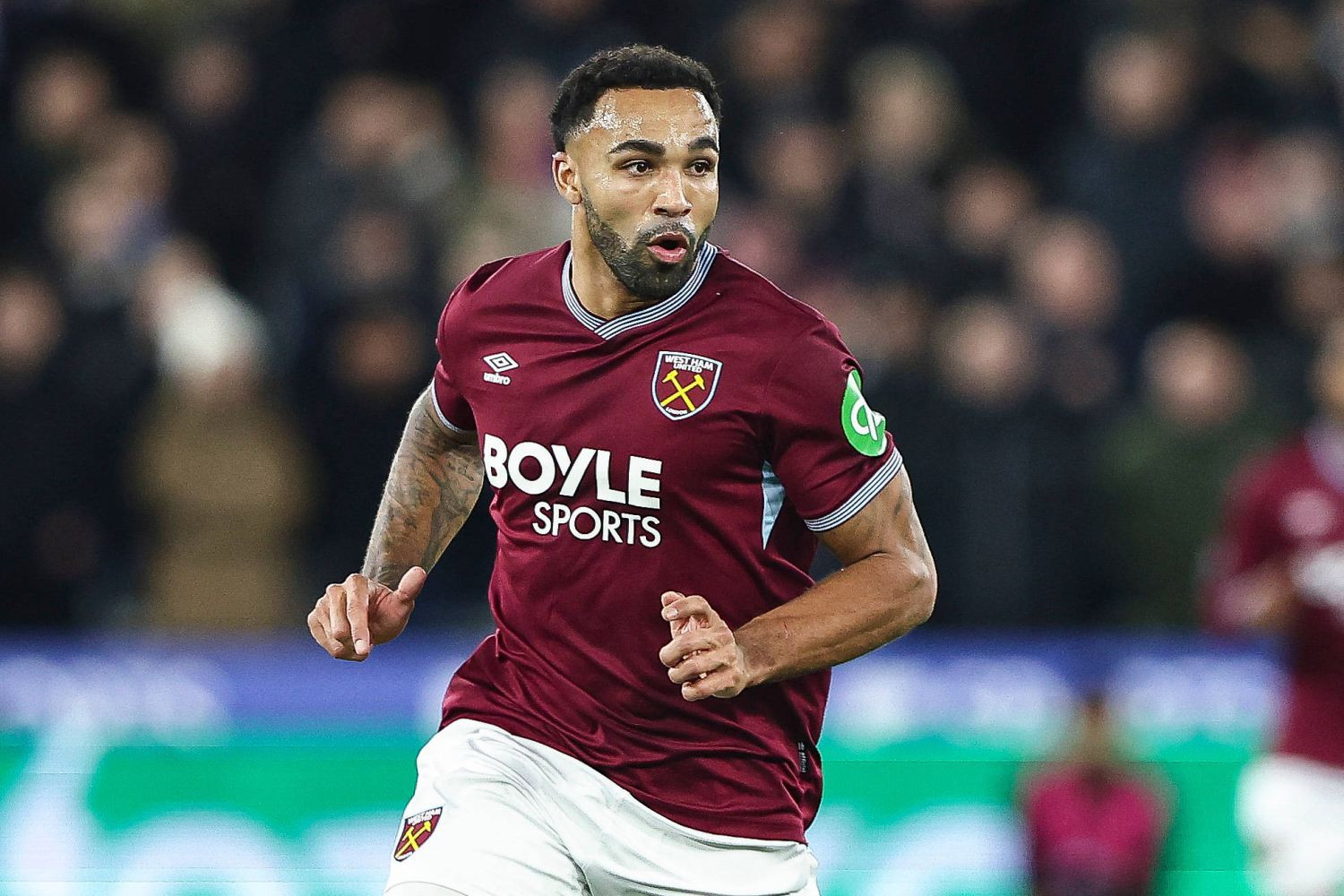 To będzie nowy klub Calluma Wilsona? Zainteresowanie z drugiej ligi