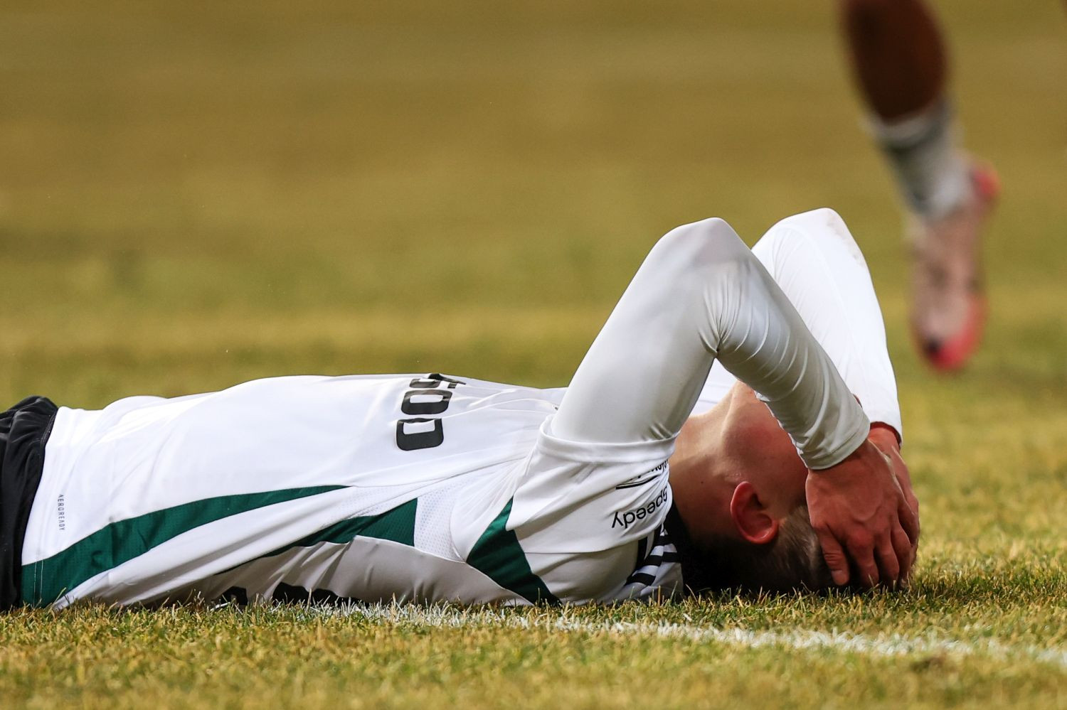 Bez litości dla gracza Legii Warszawa. „To jakieś nieporozumienie”