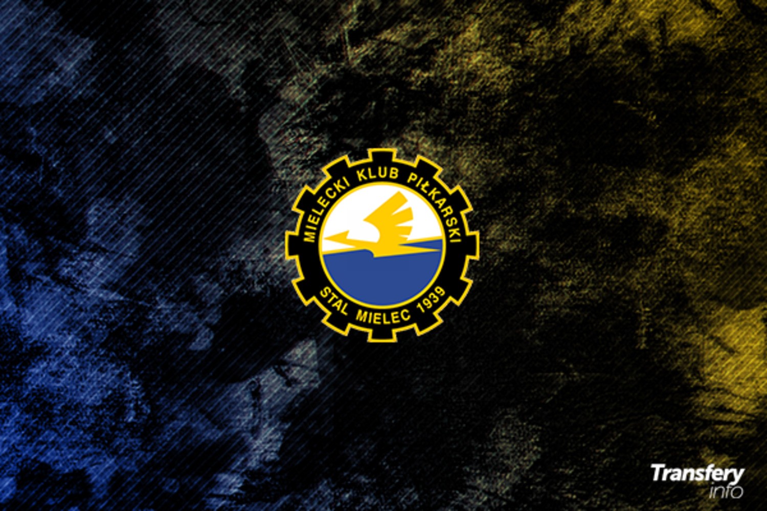Oficjalnie Trzech Zawodnikow Odchodzi Ze Stali Mielec Transfery Info
