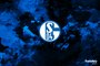 OFICJALNIE: Schalke buduje kadrę na 2. Bundesligę. Ranftl szóstym transferem