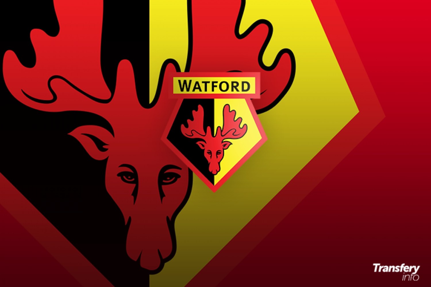 Watford przeprowadził trzeci transfer po wywalczeniu awansu do Premier League [OFICJALNIE]