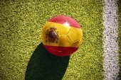 EURO 2020: Czterech piłkarzy dowołanych na zgrupowanie reprezentacji Hiszpanii [OFICJALNIE]